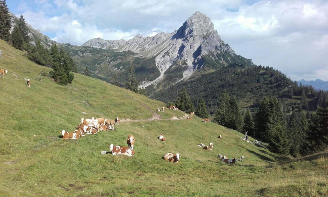 Burtscherhof In Braz Ausserbraz Dış mekan fotoğraf