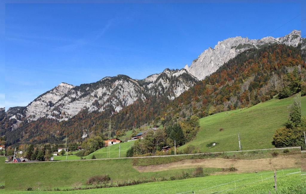 Burtscherhof In Braz Ausserbraz Dış mekan fotoğraf